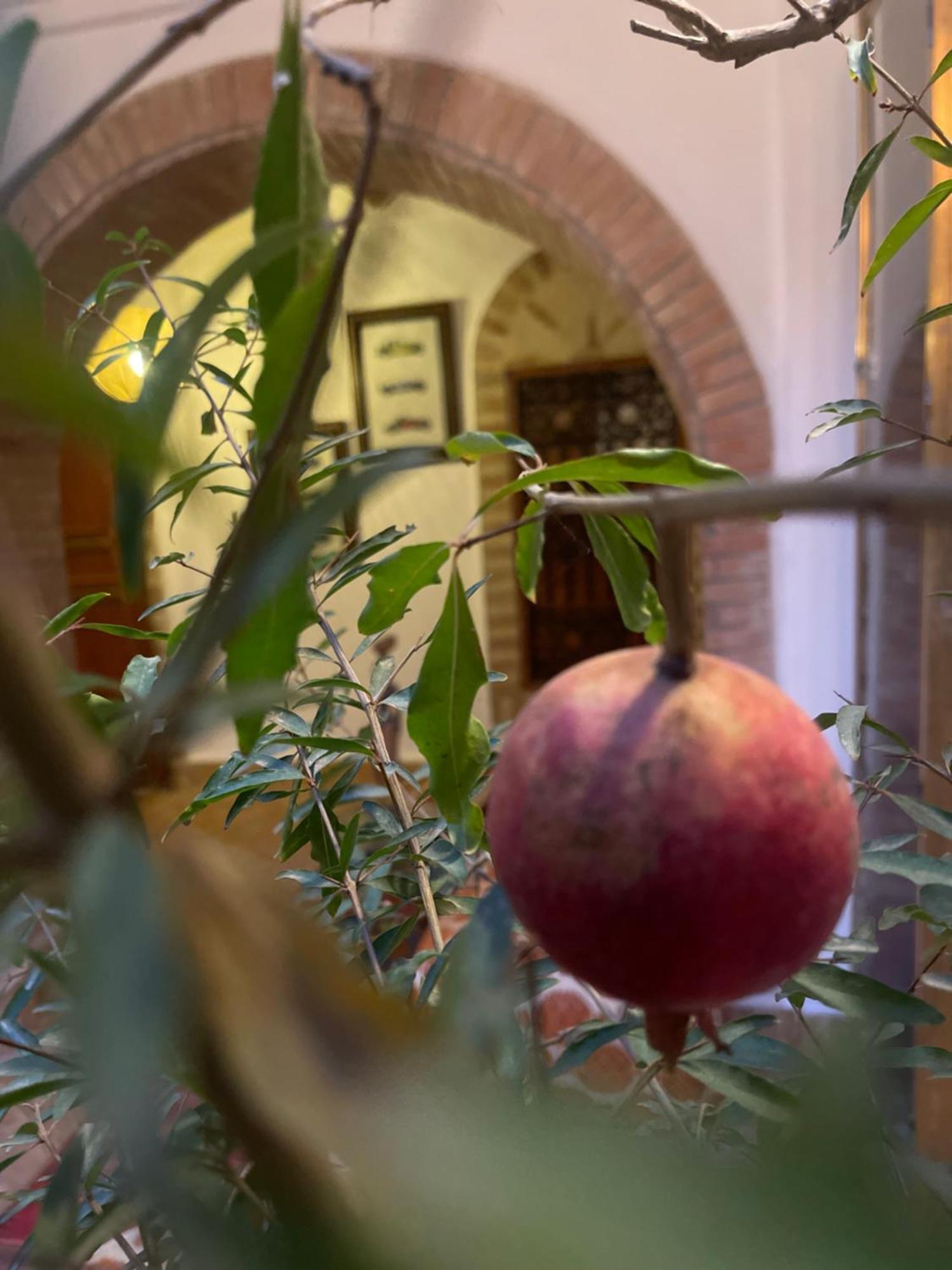 La Maison Berber Shams Marrakesh Esterno foto